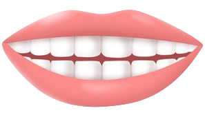 元音 /i/ 的发音和技巧