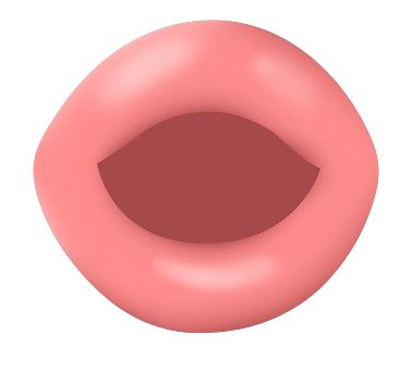 元音 /ʊ/ 的发音和技巧